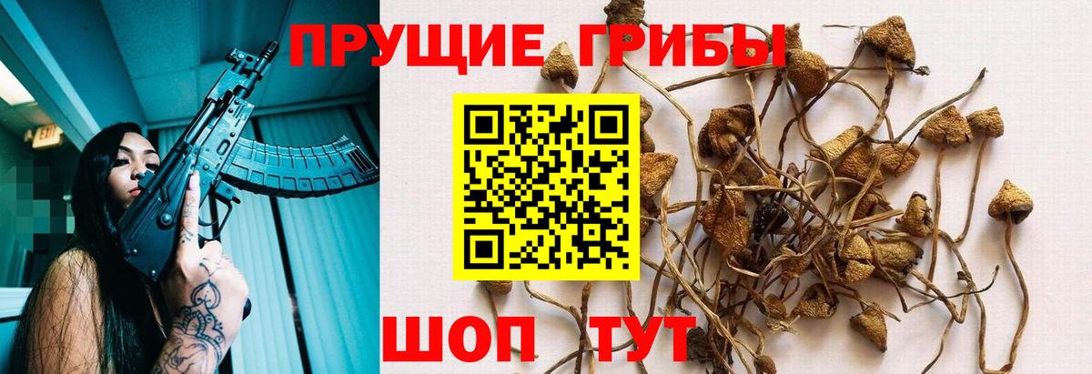 Альметьевск  Галлюциногенные грибы мухоморы  Вход с VPN 